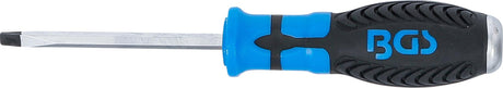 SCREWDRIVER | SLOT SL 5 MM | BLADE LENGTH 75 MM (4902)