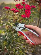 RATCHET SECATEURS FOR DRY BRANCHES WITH LOCK | 190 MM (YT-88122)
