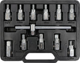 DRAIN PLUG SET 12PCS (YT-0600)