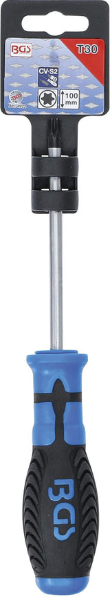 SCREWDRIVER | T-STAR (FOR TORX) T30 | BLADE LENGTH 100 MM (4922)