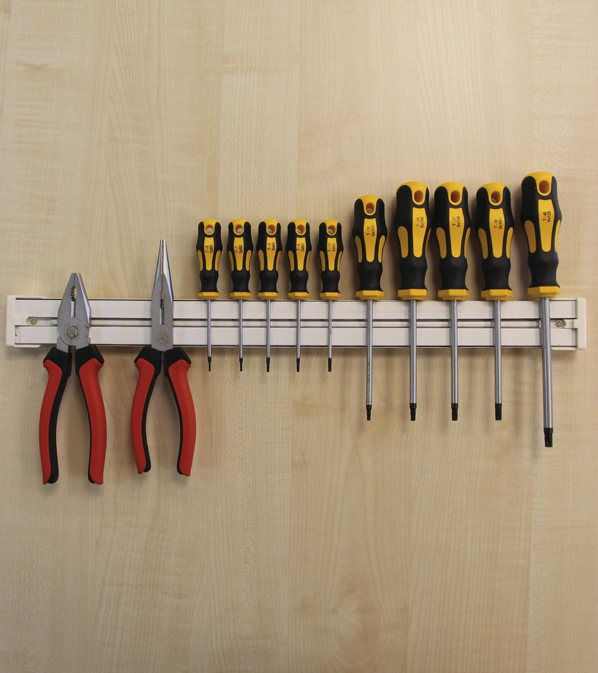 MAGNETIC TOOL BAR | 500 MM (3006)