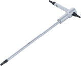 SCREWDRIVER WITH SLIDING T-HANDLE | T-STAR (FOR TORX) | T10 (6091)