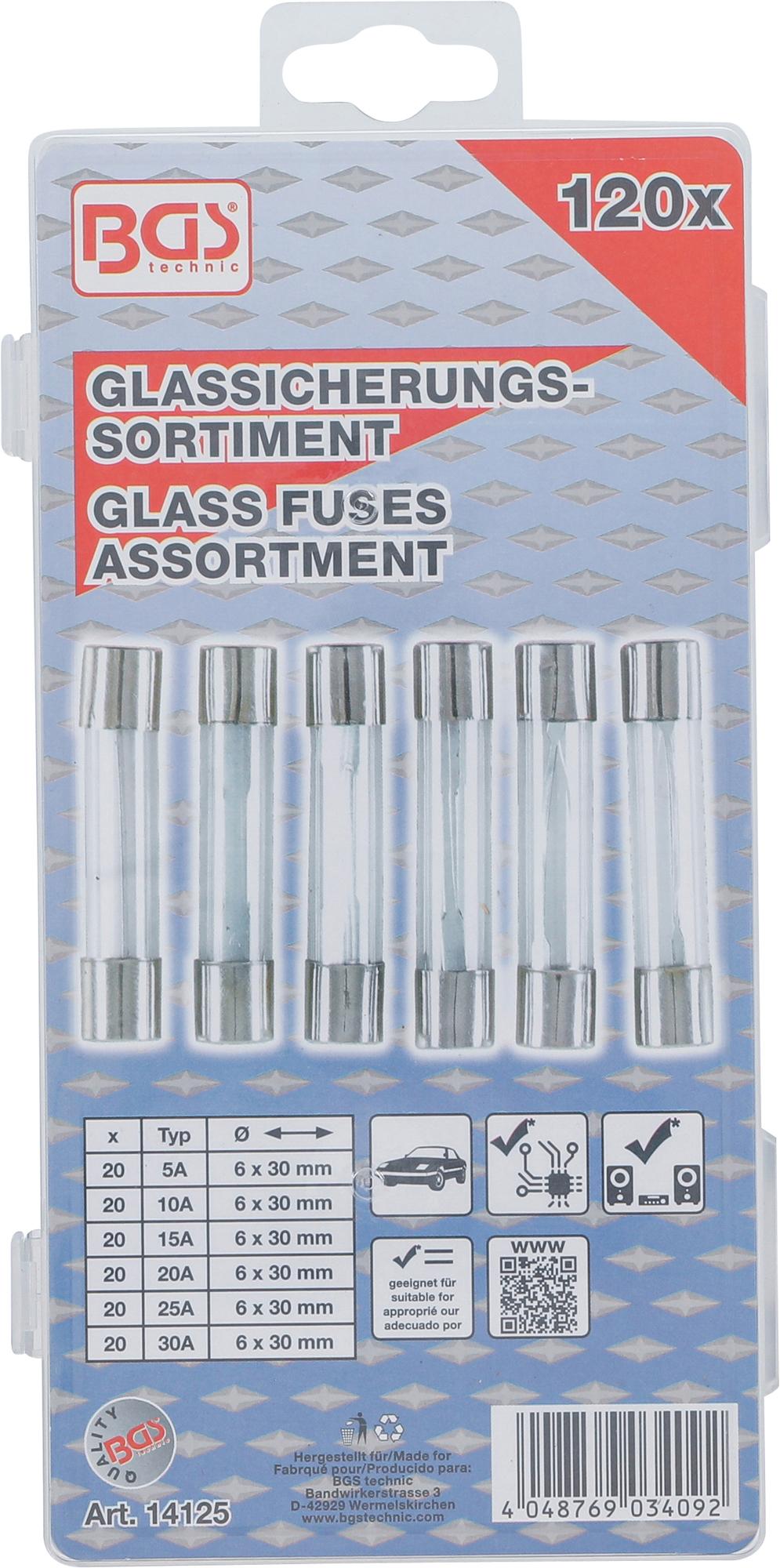 GLASS FUSE ASSORTMENT | 120 PCS. (14125)