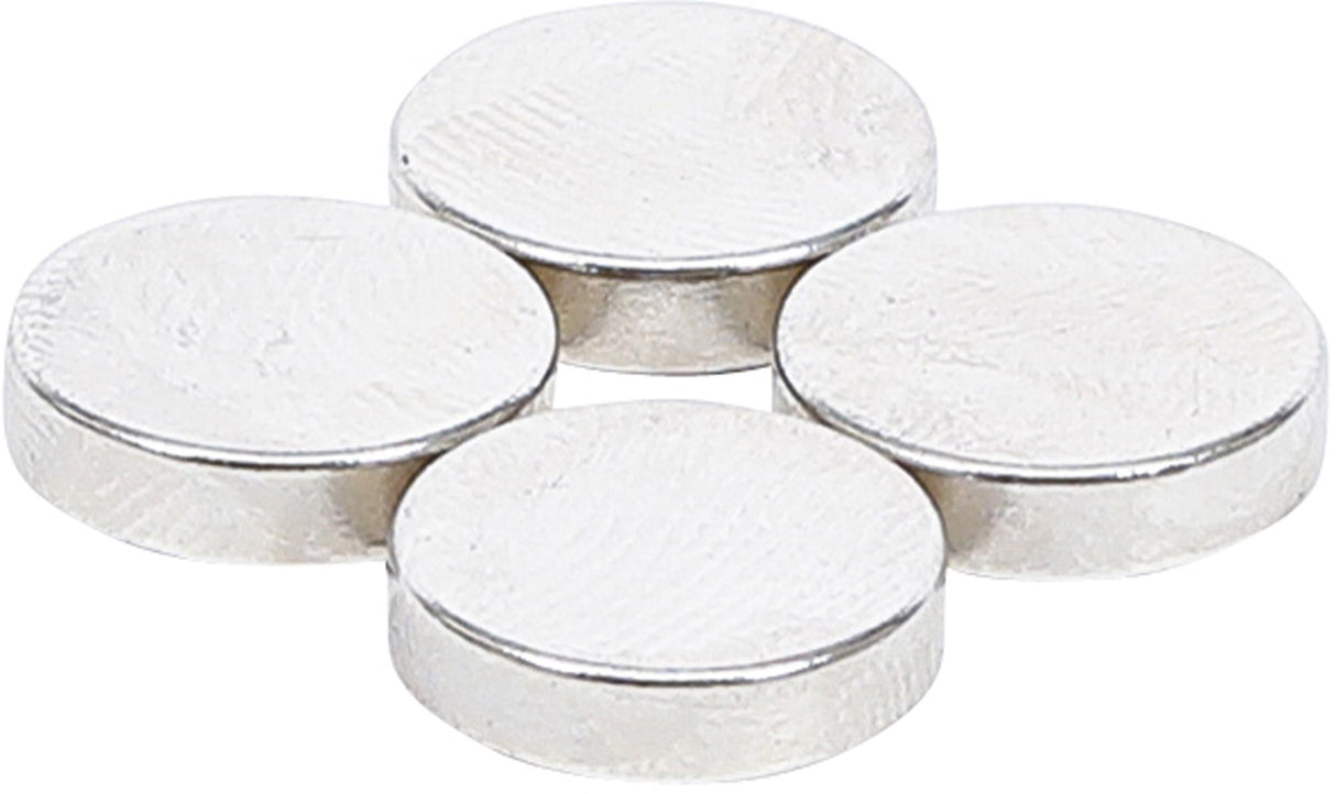 MAGNET SET | EXTRA STRONG | Ø 12 MM | 4 PCS. (79909)