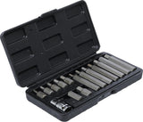 BIT SET | 10 MM (3/8") DRIVE | INTERNAL HEXAGON | 15 PCS. (5070)