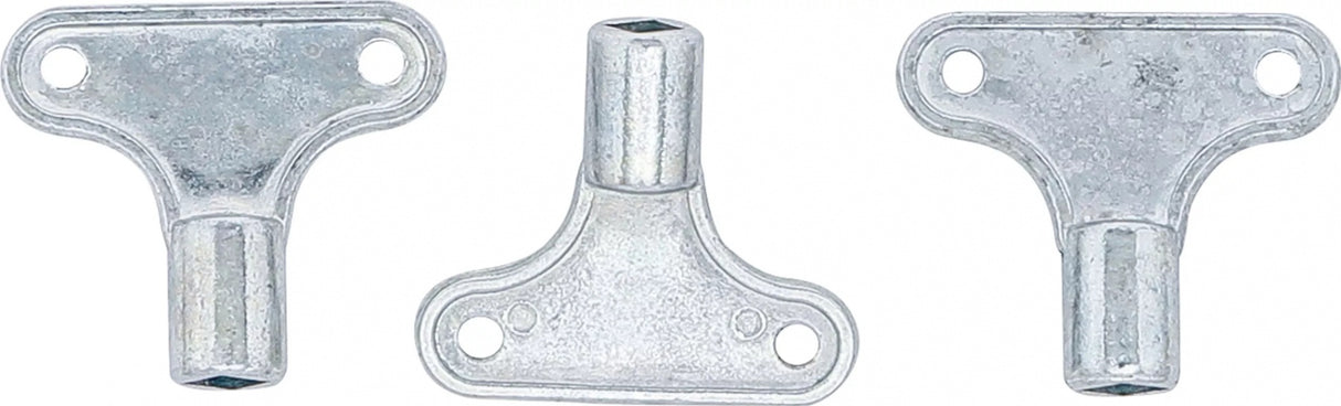 RADIATOR BLEEDING KEY SET | 3 PCS. (50505)