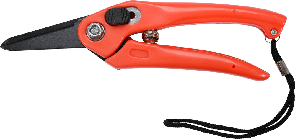 PRUNER (99194)