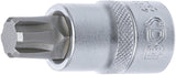 BIT SOCKET | 12.5 MM (1/2") DRIVE |SPLINE (FOR RIBE) M14 (4158)