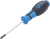 SCREWDRIVER | SLOT SL 4 MM | BLADE LENGTH 80 MM (4929)