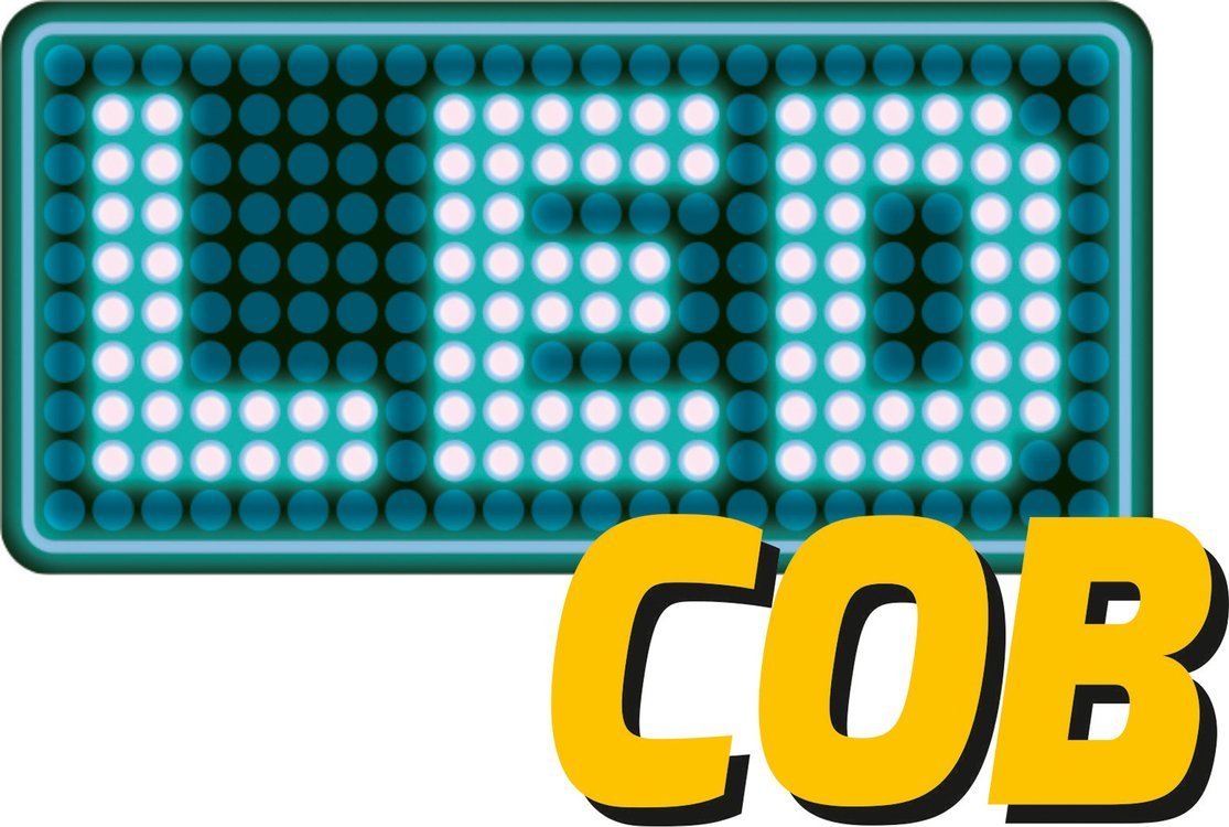 MULTIFUNCTIONAL FLASHLIGHT 5W COB 300LM (YT-08580)