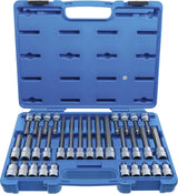 BIT SOCKET SET | 12.5 MM (1/2") DRIVE | TPS-STAR TAMPERPROOF (FOR TORX PLUS) TPS20 - TPS70 | 32 PCS. (5191)