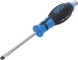 SCREWDRIVER | WITH EXTERNAL HEXAGON | SLOT SL 6 MM | BLADE LENGTH 100 MM (7919)