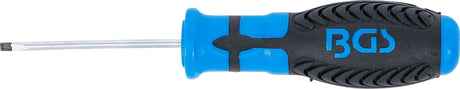 SCREWDRIVER | SLOT SL 3 MM | BLADE LENGTH 60 MM (4928)