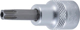 BIT SOCKET | 10 MM (3/8") DRIVE | T-STAR TAMPERPROOF (FOR TORX) T40 (2575)