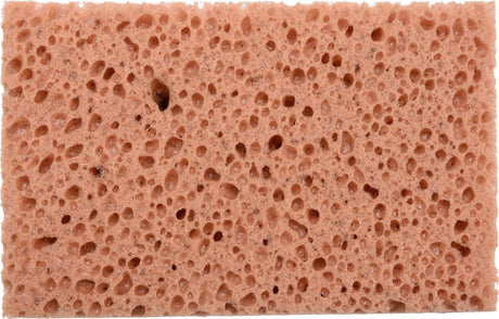 SPONGE 170X110X60MM (04542)