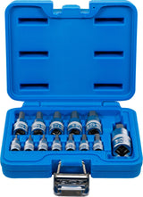 BIT SOCKET SET | 6.3 MM (1/4) / 10 MM (3/8") / 12.5 MM (1/2") DRIVE | INTERNAL HEXAGON 2 - 14 MM | 13 PCS. (74257)