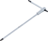 SCREWDRIVER WITH SLIDING T-HANDLE | T-STAR (FOR TORX) | T20 (6093)