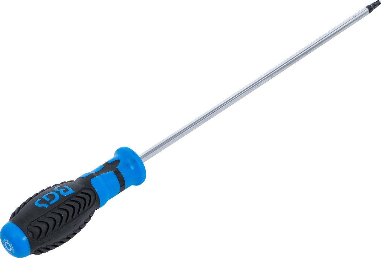 SCREWDRIVER | T-STAR (FOR TORX) T25 | BLADE LENGTH 250 MM (4946)