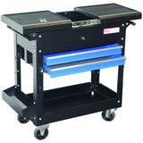 WORKSHOP TROLLEY | 2 DRAWERS | HORIZONTAL DOUBLE DRAWER SLIDE | EMPTY (4105)