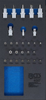 TOOL TRAY 1/3: BIT AND BIT SOCKET ASSORTMENT | 27 PCS. (4097)