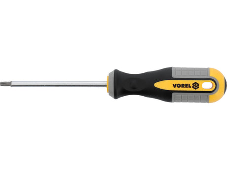 SCREWDRIVER TORX | T25X100 MM | CRV (60888)