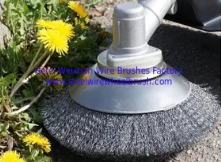 BRUSH POT TYPE | FOR TRIMMERS | SOFT | 150 MM (DB0150W)