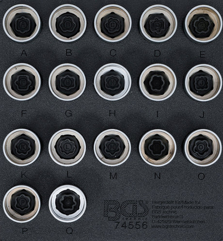 TOOL TRAY 1/6: RIM LOCK SOCKET SET FOR LAND ROVER | 17 PCS. (74556)