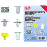 AUTOMOTIVE CLIP ASSORTMENT FOR RENAULT | 300 PCS. (9048)