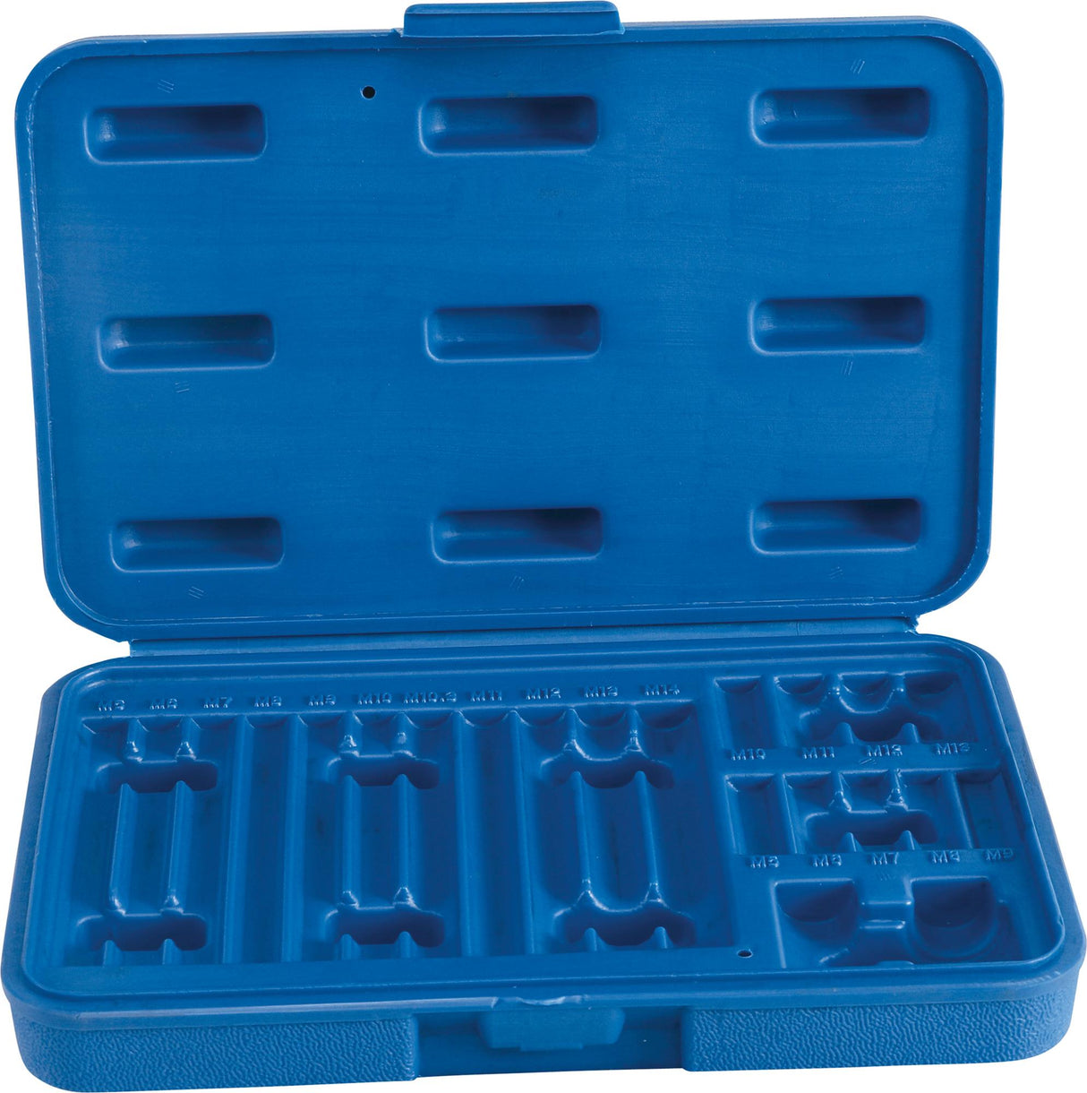 EMPTY BOX FOR RIBE BITS BGS 5013 (5013-LEER)