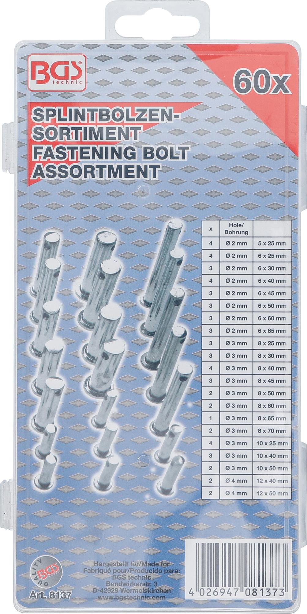 FASTENING BOLT SET | 60 PCS. (8137)