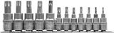 SOCKET BIT SET TORX 12PCS (YT-04331)