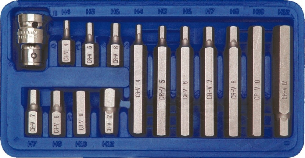 SCREWDRIVER BIT SET HEX H4-H12 15PCS (66720)