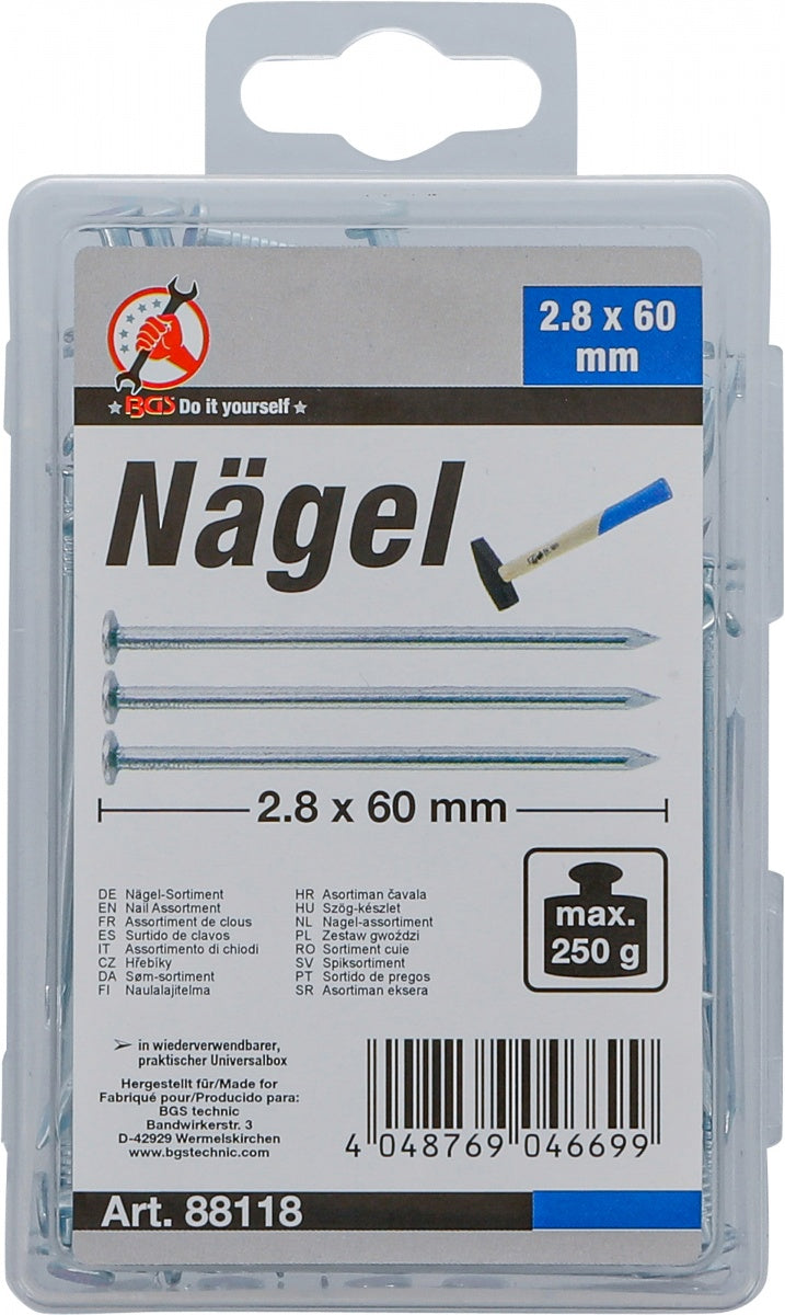 NAIL ASSORTMENT | 250 G | 2.8 X 60 MM (88118)