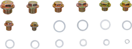 OIL DRAIN PLUG SCREWS AND ALUMINIUM SEAL RING ASSORTMENT | 534 PCS. (8119)