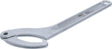 ADJUSTABLE HOOK WRENCH WITH NOSE | 120 - 180 MM (73231)